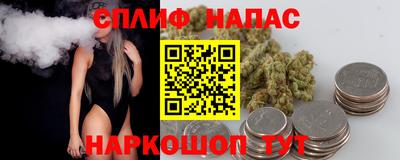 jwh Апшеронск