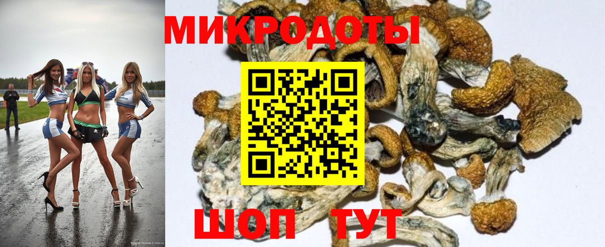 Балабаново  Псилоцибиновые грибы мухоморы  Вход с VPN 